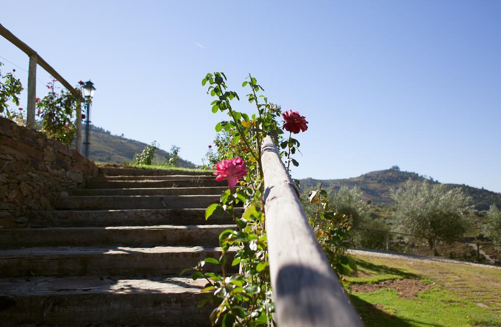 Hotel Rural Da Quinta Do Silval Vale de Mendiz Exterior foto